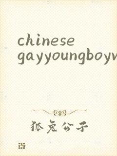 chinesegayyoungboyvideo