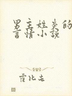 男主姓炎的现代言情小说封面