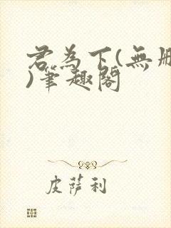 君为下(无删减)笔趣阁封面