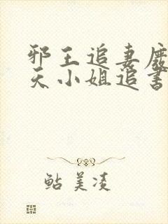 邪王追妻废材逆天小姐追书