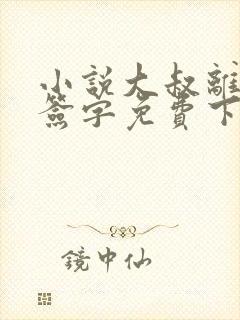 小说大叔离婚请签字免费下载