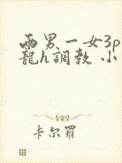 两男一女3p双龙h调教 小说封面