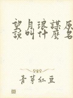 望月琅谋原著小说叫什么名字封面