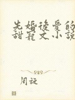 先婚后爱的古言甜宠文小说