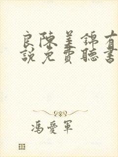 良陈美锦有声小说免费听书