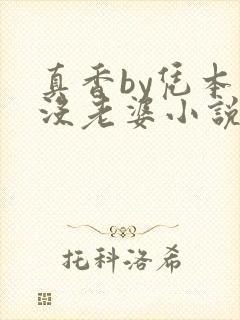 真香by凭本事没老婆小说免费阅读封面