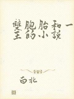 双胞胎和一个女主的小说封面