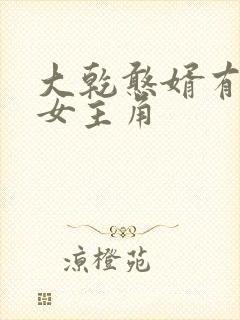 大乾憨婿有几个女主角