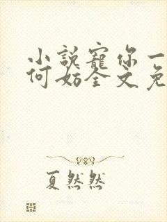 小说宠你一世又何妨全文免费阅读