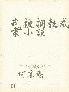 我被调教成性奴隶小说封面