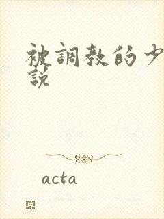 被调教的少妇小说