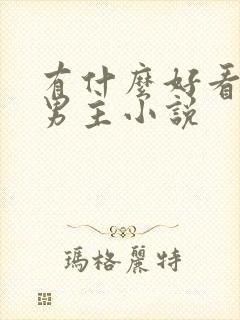 有什么好看的双男主小说封面
