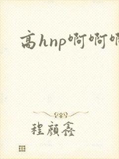 高hnp啊啊啊