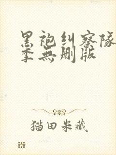 黑袍纠察队第三季无删版