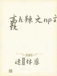 高h辣文np调教