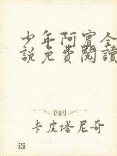 少年阿宾全文小说免费阅读笔封面