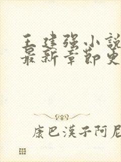 王建强小说免费最新章节更新封面