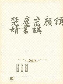 楚尘宋颜镇国神婿书旗封面