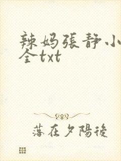 辣妈张静小说大全txt
