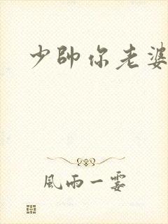 少帅你老婆