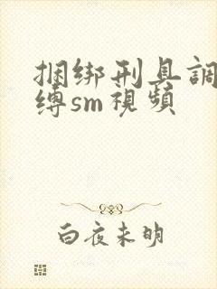 捆绑刑具调教束缚sm视频封面