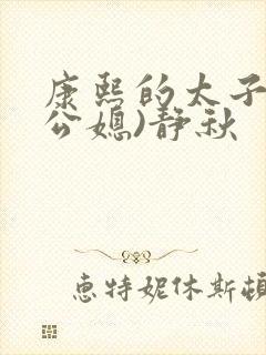康熙的太子妃(公媳)静秋