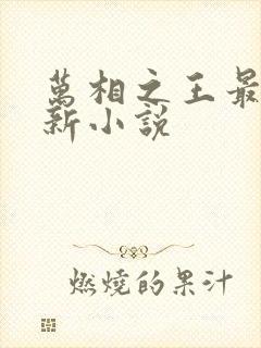 万相之王最新更新小说