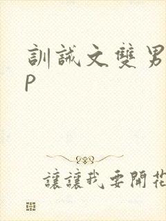 训诫文双男主sp