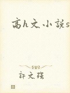高h文小说sm