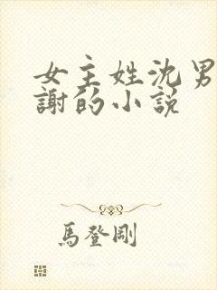 女主姓沈男主姓谢的小说封面