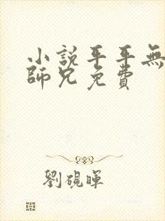 小说平平无奇大师兄免费封面