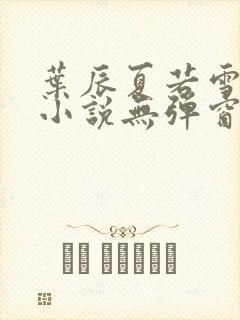 叶辰夏若雪孙怡小说无弹窗