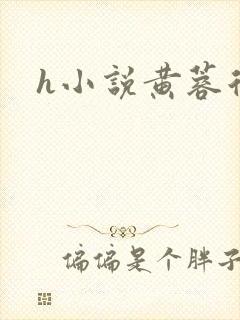 h小说黄蓉后传