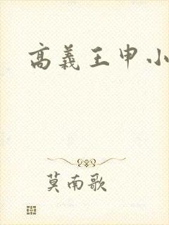 高义王申小说