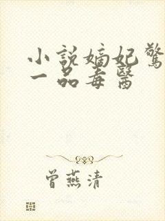 小说嫡妃惊华:一品毒医封面
