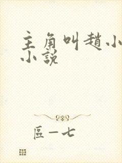 主角叫赵小天的小说