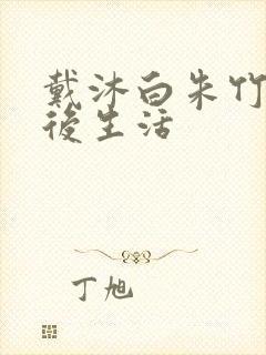 戴沐白朱竹清婚后生活