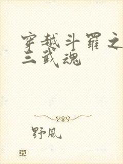 穿越斗罗之开局三武魂