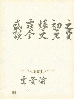 盛霆烨初之心小说全文免费阅读
