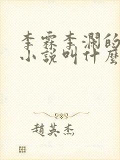 李霖李澜的官场小说叫什么