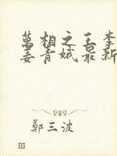 万相之王李洛/姜青娥最新更新