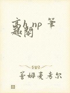 高h np 笔趣阁封面