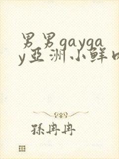 男男gaygay亚洲小鲜肉网站