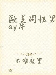 欧美同性男男gay片