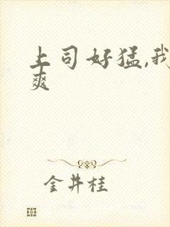 上司好猛,我好爽封面
