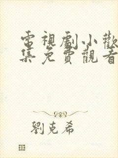 电视剧小欢喜全集免费观看