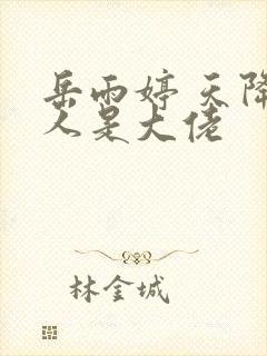 岳雨婷 天降夫人是大佬