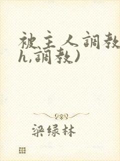 被主人调教(高h,调教)