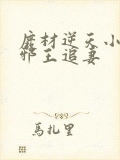 废材逆天小姐之邪王追妻