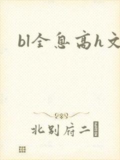 bl全息高h文
